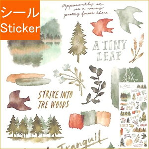 MINDWAVE }ChEFCu V[ E EH[uXebJ[ 81629 O[ V[    Ao fR[V n[g  XebJ[ X}z ق  킢 XPW