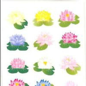 R G  V[ XC | @̉ V[ XebJ[t@ @ sN     F ԕ