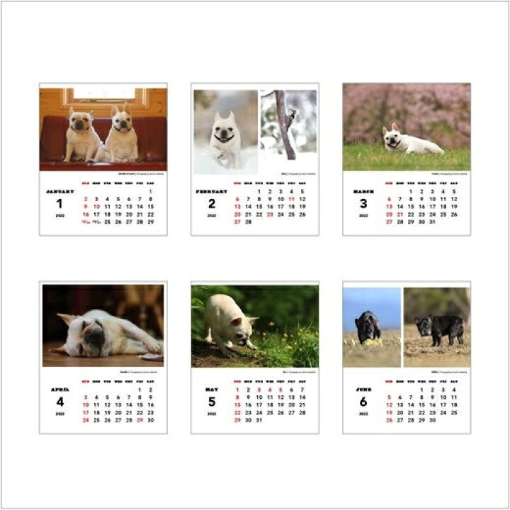 楽天市場 ｶﾚﾝﾀﾞｰ 22 年1月始まり Greetinglife ｸﾞﾘｰﾃｨﾝｸﾞﾗｲﾌ A6 夏彦ﾌｧﾐﾘｰ 坂下康裕卓上ｶﾚﾝﾀﾞｰ 壁掛け ﾓｰﾒﾝﾄ ﾊﾟﾝﾀﾞ 大人かわいい おしゃれ 可愛い 手帳ｶﾊﾞｰ 日記帳 ｻｲｽﾞ 手帳のﾀｲﾑｷｰﾊﾟｰ 手帳のタイムキーパー