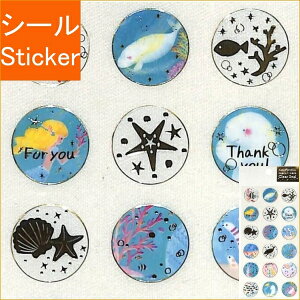 CLOTHES-PIN N[Ys V[ E asano yoshidaEgcT ӂNAV[ clearseal WS̑C V[    Ao fR[V n[g  XebJ[ X}z 