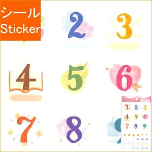 PINEBOOK pCubN V[ E }XLOV[EfC[EVCE TM01143 V[    Ao fR[V n[g  XebJ[ X}z ق  킢 X