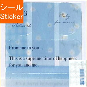 KAMIO JAPAN J~IWp V[ E PM SIGNETV[ LIGHT BLUE XPW[ 蒠̃^CL[p[@Cgu[@VOlbgV[