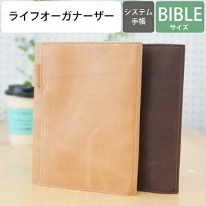 yE萔zASHFORD AVtH[h VXe蒠 oCu(6) r^[^ 11mm CtI[KiCU[ B6+B6  6 {v oC_[ JX^ JX^}CY yyMt_