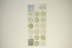 QLIA N[A V[ E V[OfBAV[ENAO[ XPW[ 蒠̃^CL[p[