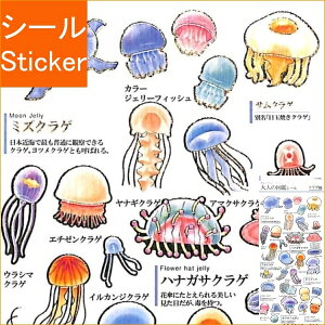花 図鑑 生活雑貨の人気商品 通販 価格比較 価格 Com