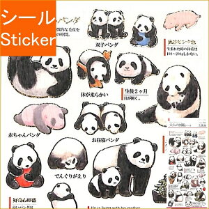 KAMIO JAPAN J~IWp V[ E PMl̐}ӃV[/p_̐ V[  XPW[ fR XebJ[ _CA[  Aj} LN^[ l̐} V[ XPW[