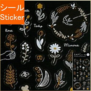 GREENFLASH V[ E ^钆̃V[ NAV[t[/S[h  A V[    Ao fR[V n[g  XebJ[ X}z ق  킢 XPW