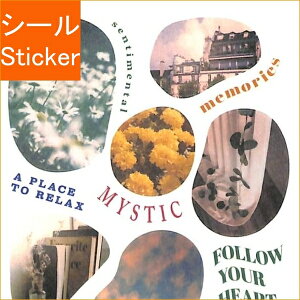 MINDWAVE }ChEFCu V[ E yeBbghXebJ[ 81589 V[ tHg V[@XPW[ fR@XebJ[ _CA[ XPW[ 蒠̃^CL[p[