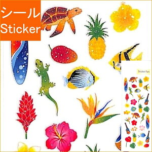 OKUYAMA R V[ E G߃V[nC V[  XPW[ fR XebJ[ _CA[ ق  At@xbg V[ oJX s travel E~K _CrO XP