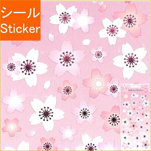 S&C Corporation S&CR[|[V V[ E ~jXebJ[ aɃsN̔ 甒ƃsN V[    Ao fR[V n[g  XebJ[ X}z 