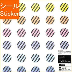 PINEBOOK pCubN V[ E ubNDMV[E|Cg TM01161 V[    Ao fR[V n[g  XebJ[ X}z ق  킢 XPW[ 