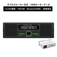 1DINカーオーディオ dsp カーオーディオ　スピーカー内蔵　1DINデッキ　FM　AM Bluetooth搭載　ハンズフ…