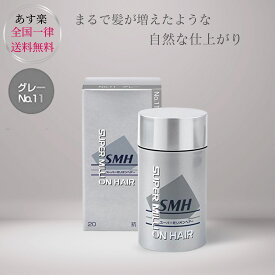 スーパーミリオンヘアー グレー 20g 薄毛 増毛 白髪隠し 髪のボリュームアップ グレイヘア
