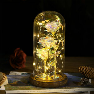 Lewondr ͂Ȃ  KXh[ KN ͂Ȃ o^C  v[g bL[Y LEDCgt  CeA zo/̓/LO/a/w//j/