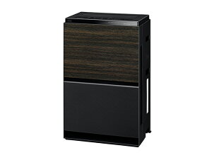 Panasonic C@ F-VXW90-TM