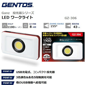 yRSLzGENTOS/WFgX RpNg  LED [NCg Ganz V[Y / Kc V[Yy邳 1100-200[/p_7-28/[drEUSB[dznfBCgbUSB@֋d
