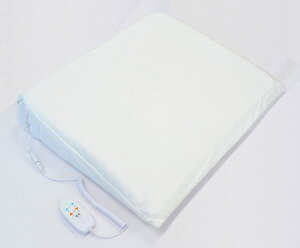 hEVV Ȋw { GAtBbg DAP-1601 GA܂ d 57×47cm E Rd GAtBbeB[ 