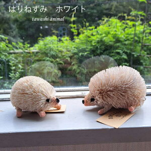 yX[p[SALE 20%OFFz͂˂݃IuWF nlY~izCgju nlY~IuWF CeAG u 킢  K[fjO  K[fI[ig u |b