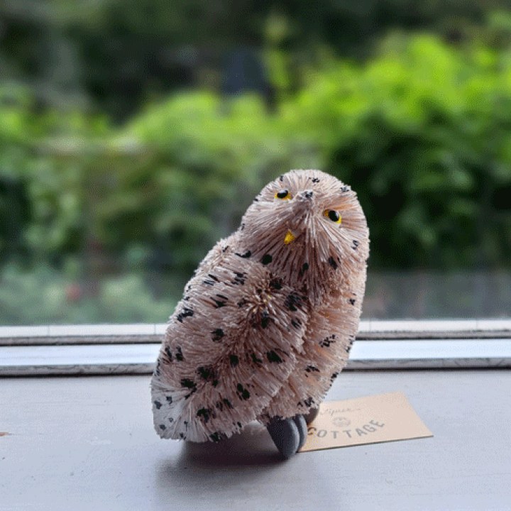 11羽　フクロウの置物 インテリア装飾品 11羽 フクロウの置物 インテリア装飾品