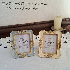 y11/1 |Cg5{zXNGAtHgt[ ʐ^ AeB[N g  Ǌ| Ǐ AeB[N NVJ EH[fR Be[W NVJfUC