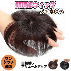 頭頂部 ウィッグ 部分ウィッグ ポイントウィッグ ヘアピース 部分かつら 女性 メンズ ウイッグ 人毛 自然 白髪隠し 医療用 ヘアーピース つけ毛