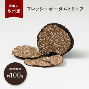 y100gڈztbV I[^gt gt BY Hgt A H O咿  i tbVgt gt Mtg | ① N[  yeBmg