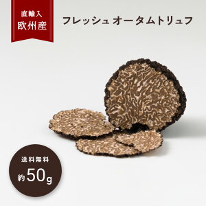 y50gڈztbV I[^gt gt BY Hgt A H O咿  i tbVgt gt Mtg | ① N[  yeBmg