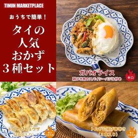 【タイのおかず満喫セット】タイ料理 夏 ギフト ガパオ トムヤム揚げ春巻き トムヤムギョウザ エスニック 惣菜 冷凍 専門店 ティーヌン 3種セット 送料無料
