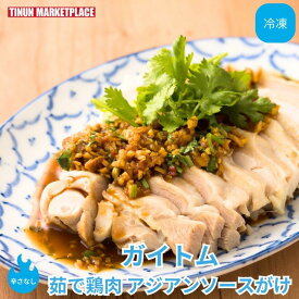 【冷凍商品】 ティーヌン 茹で鶏肉アジアンソースがけ ガイ・トム 茹で鶏 タイ料理 アジア料理 エスニック 冷凍 冷凍食品 晩酌 おつまみ もう一品 袋のままレンジで簡単 具材250g ソース60g