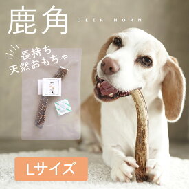 【20時〜先着50名10％クーポン】【長持ち天然おもちゃ◎鹿の角】鹿の角 犬 鹿角 おやつ 無添加 ペット 鹿 天然 国産 歯石 ケア デンタルケア ガム 犬のおやつ 歯磨き おもちゃ ニホンジカ ドッグフード 犬の玩具 ギフト 小型犬 中型犬 大型犬 td-1026