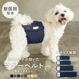【10％OFFクーポン!!2個以上購入で使える】【獣医師監修◎わんちゃんに優しい設計】犬 マナーベルト パンツ マナーパンツ ベルト マナーウェア マナー用品 おむつ 介護 ドックウェア 服 しつけ 介護用品 シンプル おしゃれ td-1030