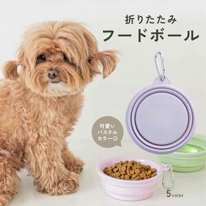 y12/4 20:00`撅10l聝50OFFN[|zy^ъȒPz t[h{[ VR ܂肽 ybgp H aM   g ^ RpNg h y gxp