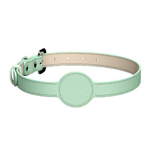 【LINE追加10%OFFクーポン】【安心◎迷子防止】 AirTag エアタグ 首輪 犬 エアタグ用首輪 保護 迷子防止 ペット用 紛失防止 安全 猫 GPS 追跡装置 カバー 保護ケース エアタグカバー エアタグケー