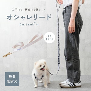 yLINEǉ10%OFFN[|zybtďCxρz􂦂 p[h y 70g ɂ₳  v  ^ ^ ^Ή Up  qh~ g[jO n[