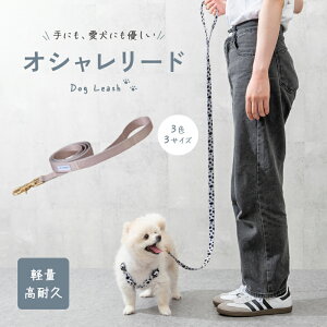 yLINEǉ10%OFFN[|zybtďCxρz [h p[h y 70g ɂ₳  v  ^ ^ ^Ή Up  qh~ g[jO td