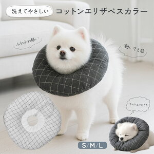 y10OFFN[|!!}\zyDRbgfށz GUxXJ[ _炩 ybg 킢 \tg h[ic h Rbg y rߖh~ p  ی  L ^ 