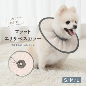 y11/4 20:00`撅10l聝50OFFN[|ztbgGUxXJ[ GUxXJ[  񂿂  ^ ybg h y rߖh~ p  ی  L  킢 