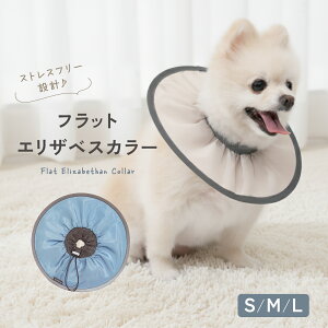 yLINEǉ10%OFFN[|ztbgGUxXJ[ GUxXJ[  񂿂  ^ ybg h y rߖh~ p  ی  L  킢 ybgpi r 