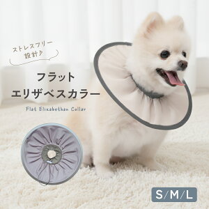 tbgGUxXJ[ GUxXJ[  񂿂  ^ ybg h y rߖh~ p  ی  L  킢 ybgpi r p td-1093