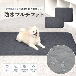 y12/5聝Si10OFFN[|zy×hz}`}bg  􂦂 ybg}bg ybgV[c ybgV[g L MTCY LTCY ~ ^ ^ ^ P[W}bg vC