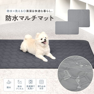 y12/4 20:00`撅10l聝50OFFN[|zy×hz}`}bg  􂦂 ybg}bg ybgV[c ybgV[g L MTCY LTCY ~ ^ ^ ^ P[W}b