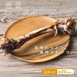 yLINEǉ10%OFFN[|zy50g / 80g / 150gz   ̍ p Y bO{[ WrG p  ̂ f^PA hbOt[h W[L[ ^ ^ ^ 