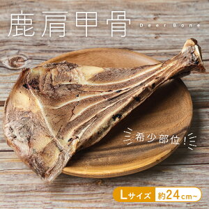 y󏭕!!ppŔbz   ̍ p Y b  WrG p  ̂ f^PA hbOt[h ^ ^ ^ Y ᎉb 