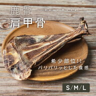 【10％OFFクーポン発行中!!】【40g / 70g / 110g】犬 鹿骨 おやつ 鹿の骨 鹿角 無添加 肩甲骨 希少 ジビ…