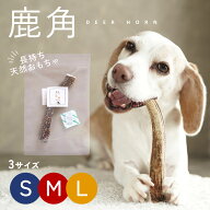 【ポイント5倍+LINE追加10％！】【長持ち天然おもちゃ◎鹿の角】鹿の角 犬 鹿角 おやつ 無添加 ペット 鹿…