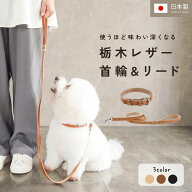 【5のつく日◎全商品10％OFF】【日本製】犬 首輪 レザー 小型犬 おしゃれ かわいい シンプル 高品質 栃木…