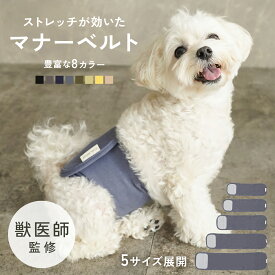 【獣医師監修◎わんちゃんに優しい設計】犬 マナーベルト パンツ マナーパンツ ベルト マナーウェア マナー用品 おむつ 介護 ドックウェア 服 しつけ 介護用品 シンプル おしゃれ td-1030