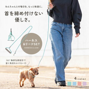 yLINEǉ10%OFFN[|zy₷Obvz n[lX [h Zbg ybg SȂ \tgnh   킢 ybgpi AEghA ^ [hZbg 