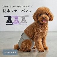 【ヒート期も、お出かけも、これ1枚で】防水 マナーパンツ 犬用 洗える 吸収 女の子 オス用 生理 サニタ…
