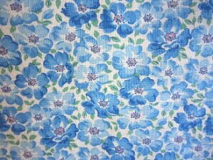 tB[hTbN @nu[ԁ@i1/16TCY)